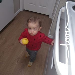 Meet your Posher, Brandon